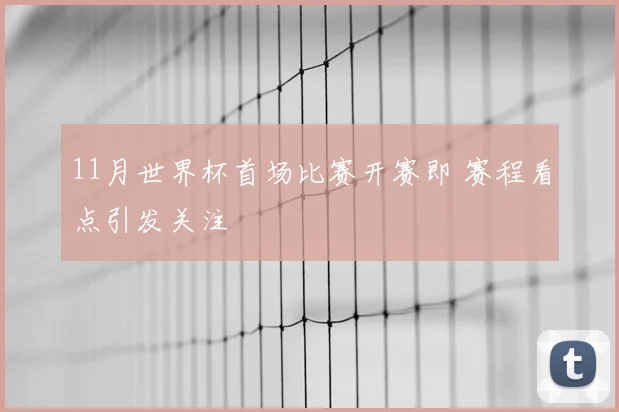 11月世界杯首场比赛开赛即 赛程看点引发关注